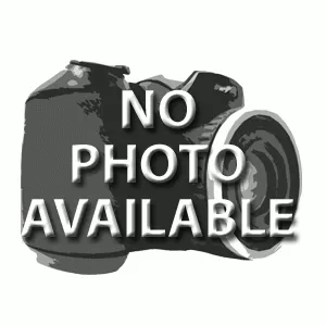 65224_faf06401.webp
