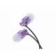 166950_jpg.webp