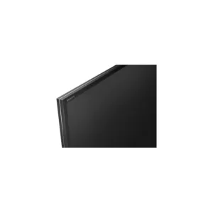 181649_jpg.webp