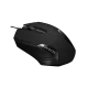 223009_jpg.webp