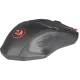 223225_jpg.webp