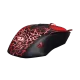 238321_jpg.webp