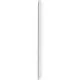 254236_jpg.webp
