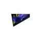 314938_kd55ag9baep.webp