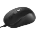 320628_jpg.webp