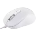 320630_jpg.webp