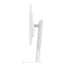 483299_jpg.webp