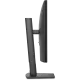 516704_jpg.webp