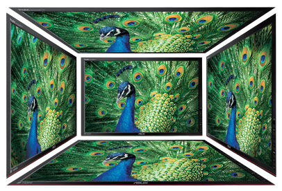 Vivid, lifelike visuals